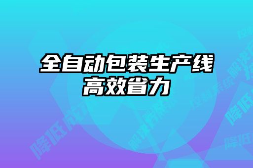 全自動包裝生產線高效省力
