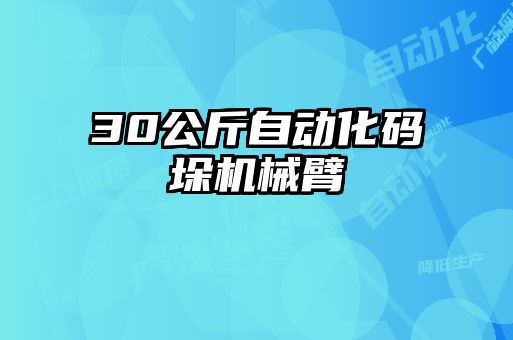 30公斤自動化碼垛機(jī)械臂