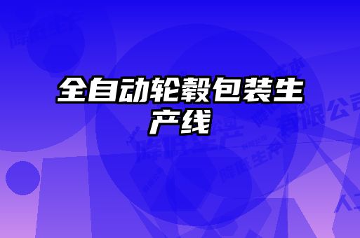 全自動輪轂包裝生產線